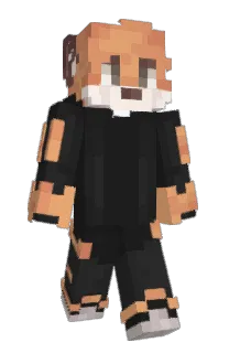 Front of FaxeL_FX's skin