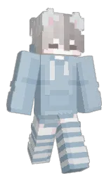 Minecraft skin — Classic model