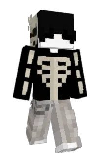 Front of 22QR's skin