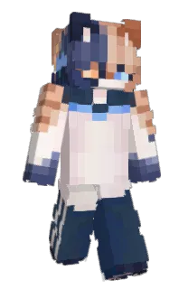 Front of heliianth's skin