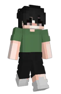 Front of pl1l's skin