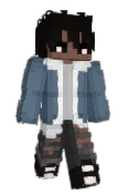straysav