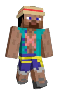 Front of Swagepic's skin