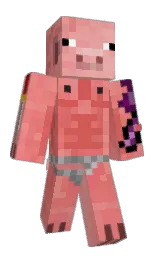Minecraft skin — Classic model