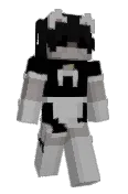 plokye