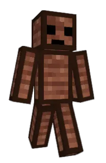 Front of Minecraft skin