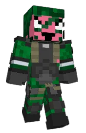 Skin preview