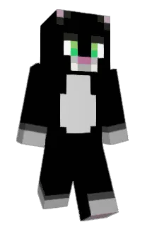 Front of Ritorukanadian's skin