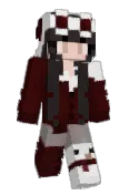 PocketSage