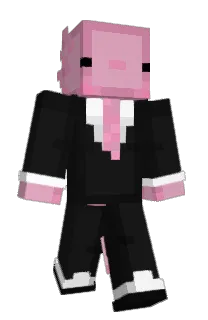 Front of Whee1s_'s skin