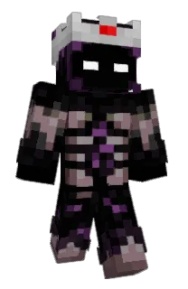 Front of CeilingBird's skin