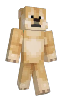 mikhw1's Minecraft skin