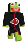 DSyRLeader