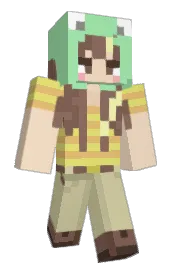 Skin preview