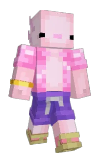 Front of Axotlo's skin