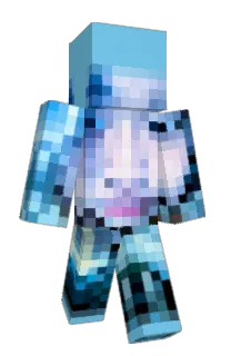 Front of seirosel's skin