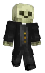 Minecraft skin — Classic model