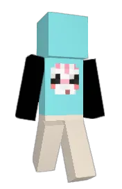 Skin preview