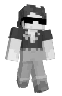 brown110879's Minecraft skin