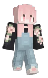 Fly_Tomato's Minecraft skin wearing the Pan cape