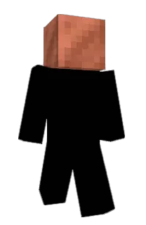 Yy16702's Minecraft skin