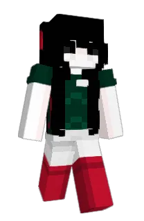 Front of ImLight's skin