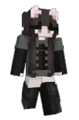 straykittnz