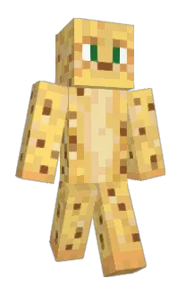 Front of Polyominoes's skin