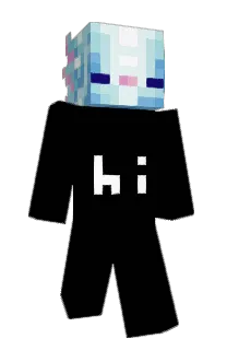 Front of Mintic's skin