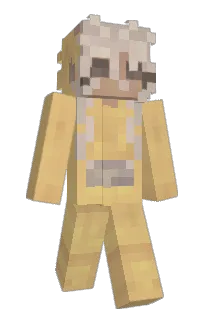 Front of mmelv's skin