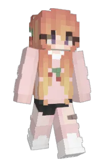 Front of Minecraft skin