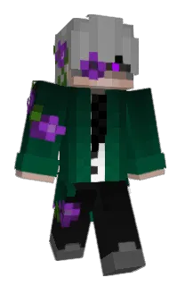 roopic's Minecraft skin