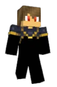 _vin1