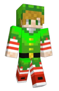 Front of a3147's skin