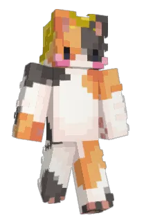Front of moqasUWU's skin