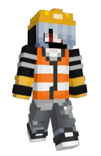 Front of Impressy's skin