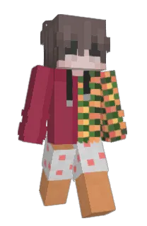 PahuVa's Minecraft skin