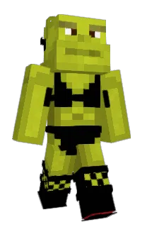 Steve_Na_Fazie's Minecraft skin