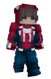 Front of Santip's skin
