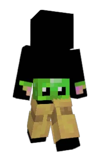 noob6667's Minecraft skin