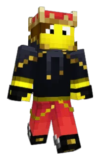Front of ZicGamer_Pro's skin