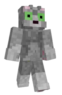 Front of Lokus_krokus's skin