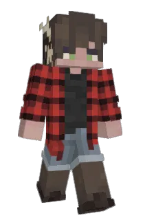 Front of Karsikko's skin