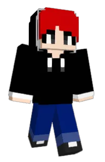 Front of GIMCONE's skin