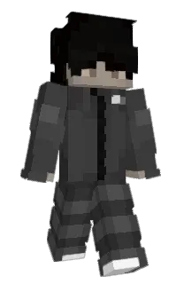 NotPanda_'s Minecraft skin
