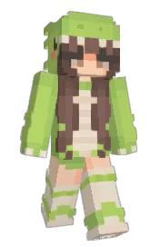 Skin preview