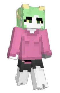 Front of shrimpickle's skin
