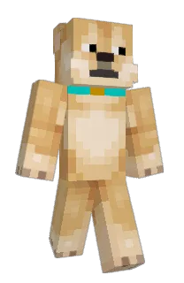 Front of anon_ymus's skin
