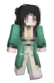 Skin preview