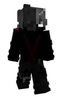Front of vailan's skin